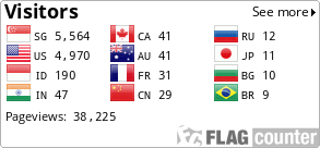 Flag Counter