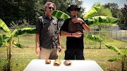 family friendly resorts Comparing 4 Different Turtle Shells
