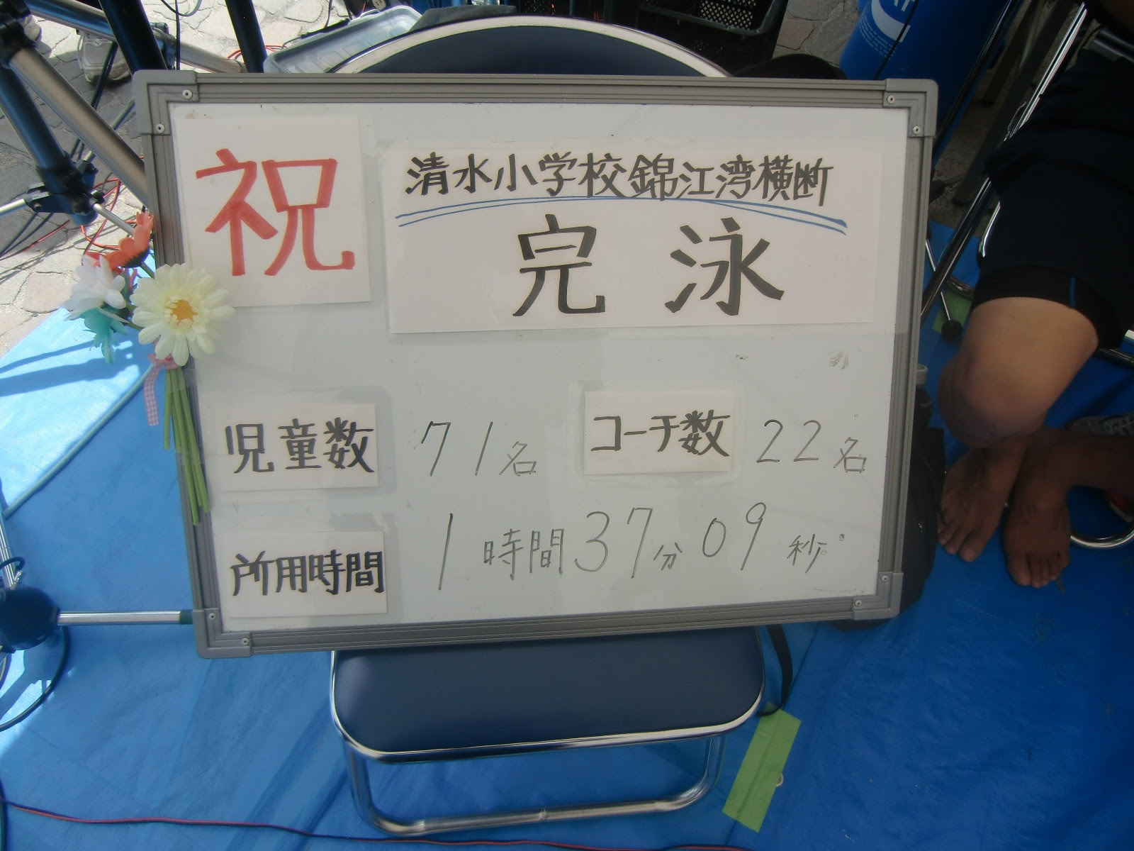 速報 錦江湾横断遠泳 全員完泳 鹿児島市立清水小学校水泳同好会