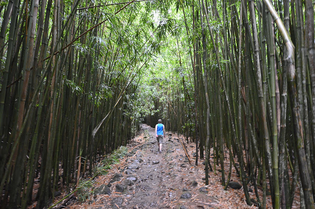 hiking pipiwai trail