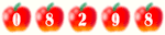 Web Page Hit Counter