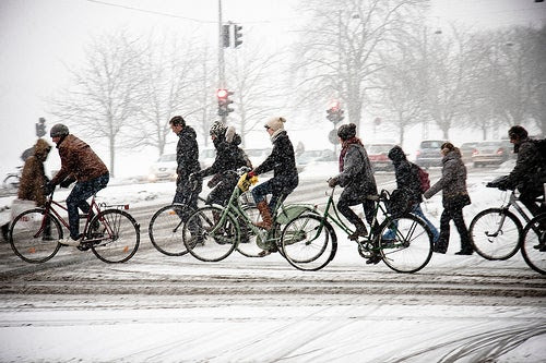 Follow their lead and don't let the winter blues keep you from getting on your bike! Photo by Colville-Andersen.