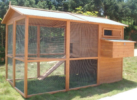 Home » Chicken House » Extra Large Poultry House and Run