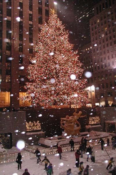 Christmas Tree Ideas for Christmas 2019 Christmas Christmas Tree Ideas for Christmas 2019 Christmas