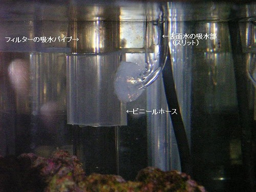 海底300ミリメートル 実践編10