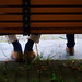 "Under-benken-studie" - Nordre gate