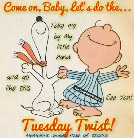 Do The Tuesday Twist Pictures, Photos, and Images for ...