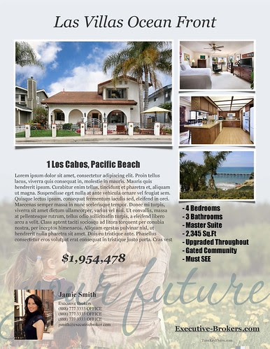 real estate brochure sample. These Real Estate Flyer