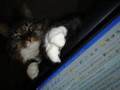 TheClaw Redux