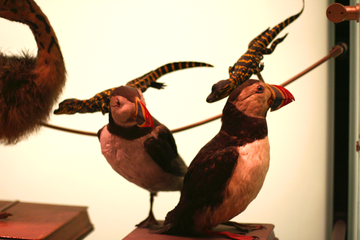 natural history