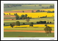 La campagne nivernaise (toftof91) Tags: france 20d canon spring country campagne printemps nièvre 10faves abigfave 5for2