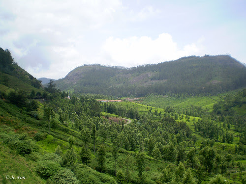 green valley