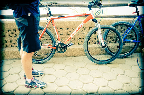 DSCF6450