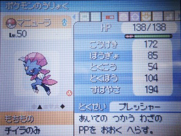 No 462 マニューラ完成