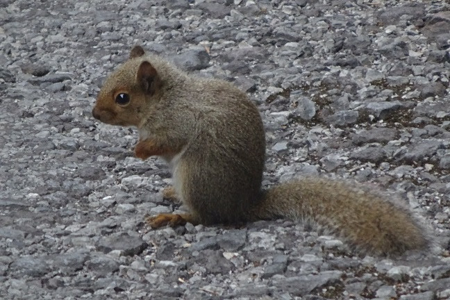 18年6月 赤城温泉 御宿総本家