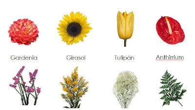Flores De México Y Sus Nombres