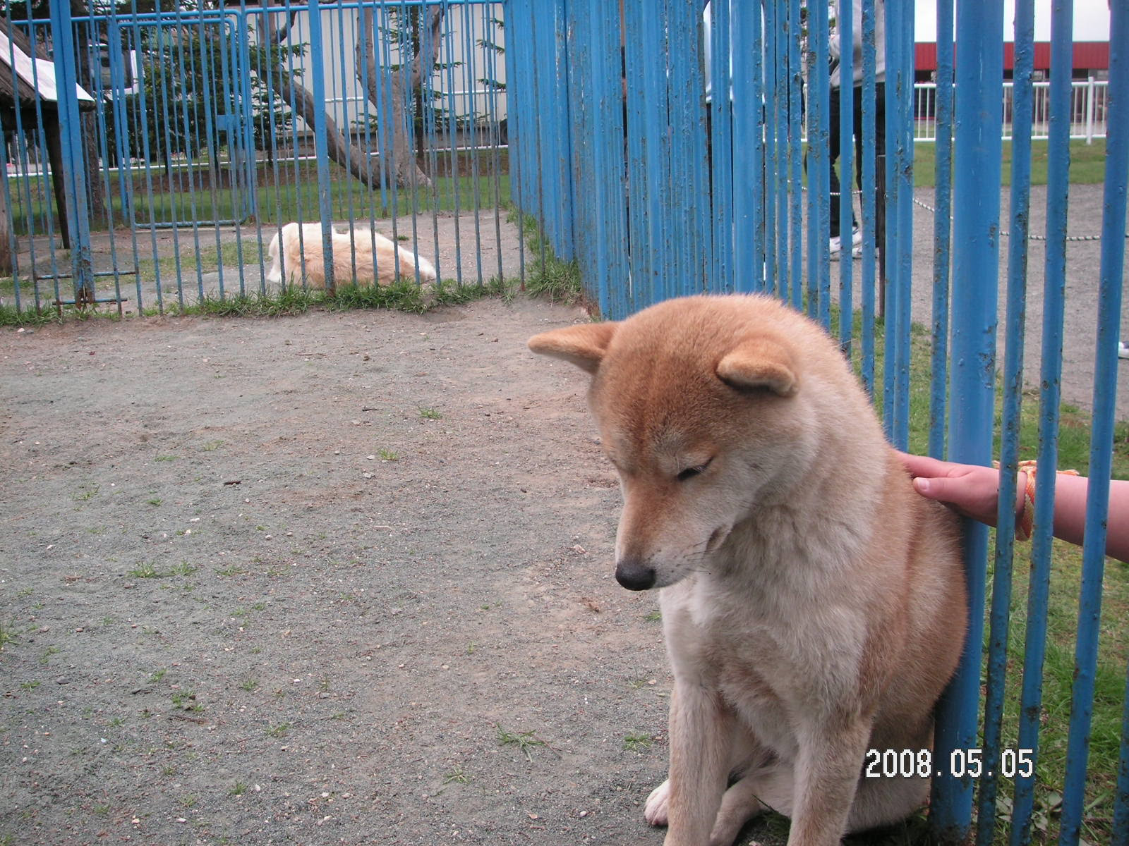 オロロンライン南下 For Today がむしゃらにやってみよう