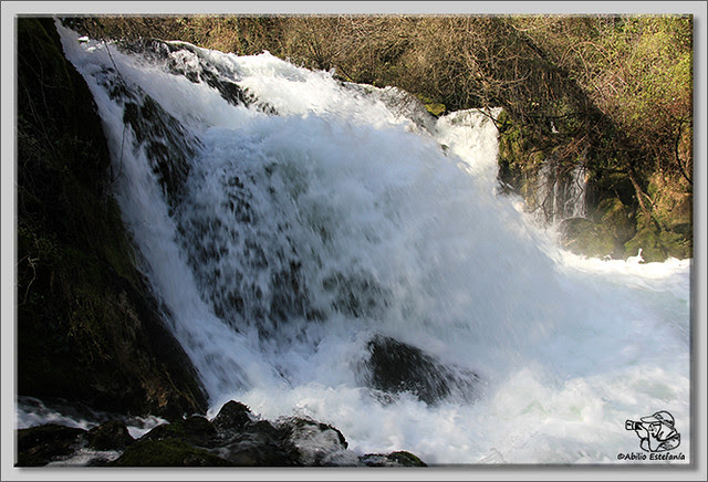 6 Nacimiento del río Cadagua