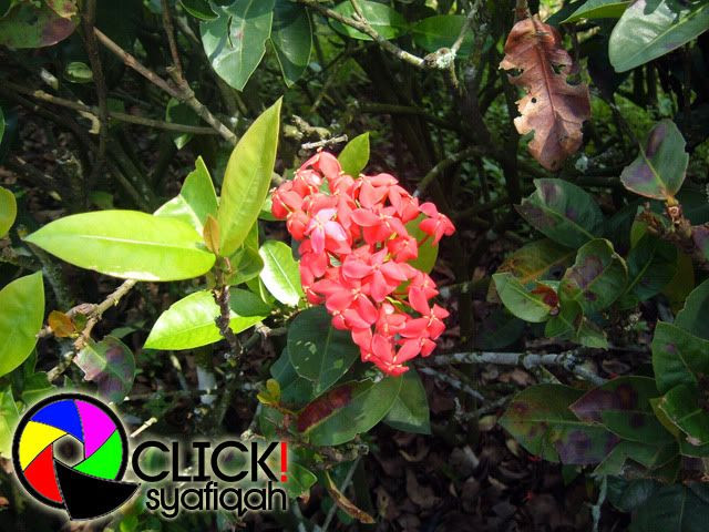 ©2010QClick! - Klik untuk foto yang lebih besar