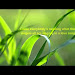 Kenny Rogers A Love Song Free Newest