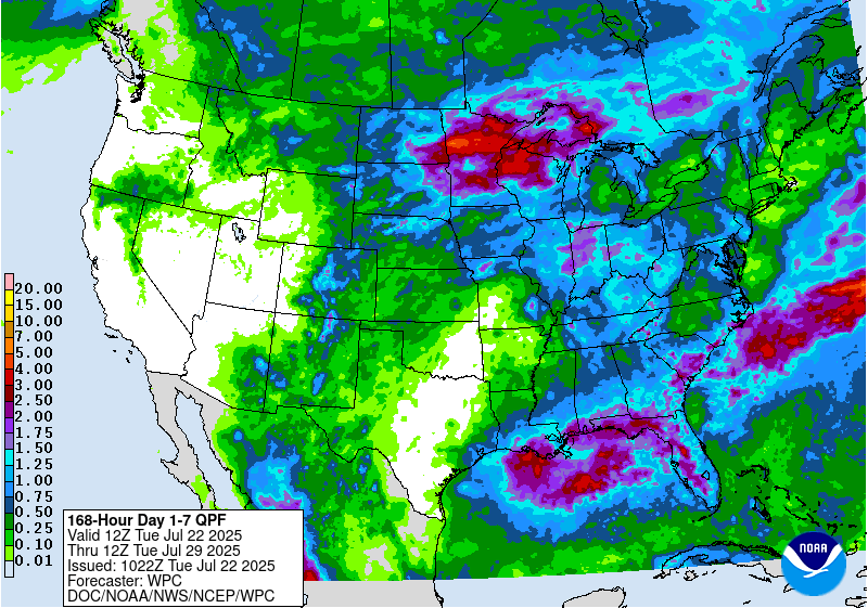 WPC QPF