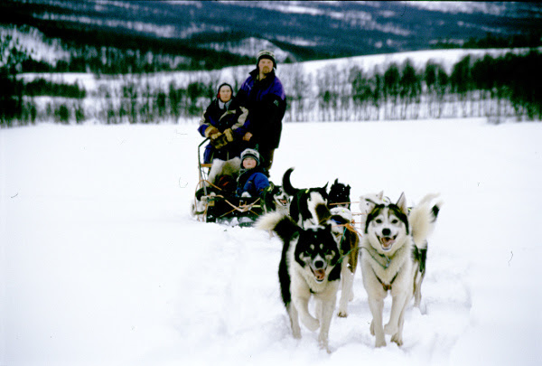 Fotos de Auroras Boreales en Noruega, Alta