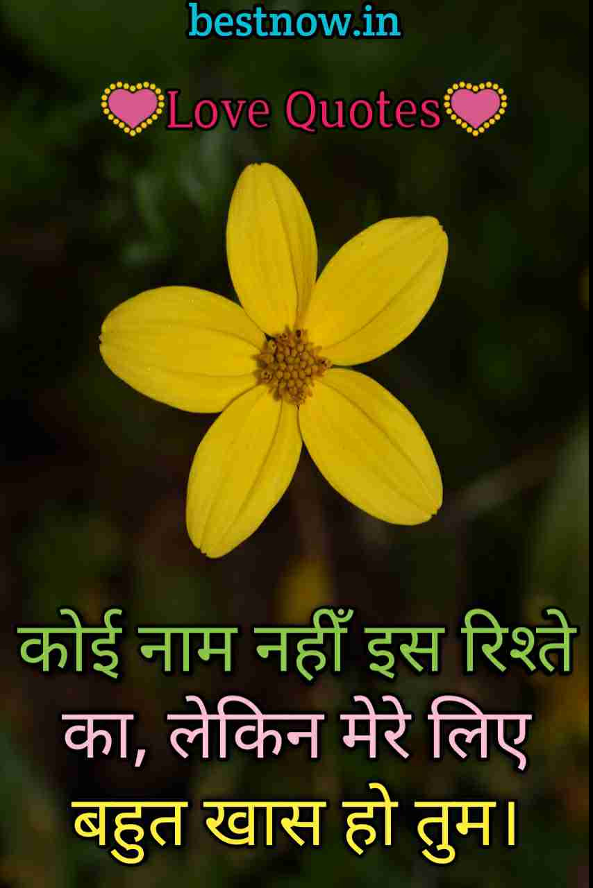 Love Quotes In Hindi { 2019 } टॉप 100+ बेस्ट लव कोट्स ...