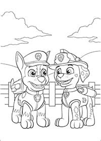 paw patrol kleurplaten op kinderfilmpjes