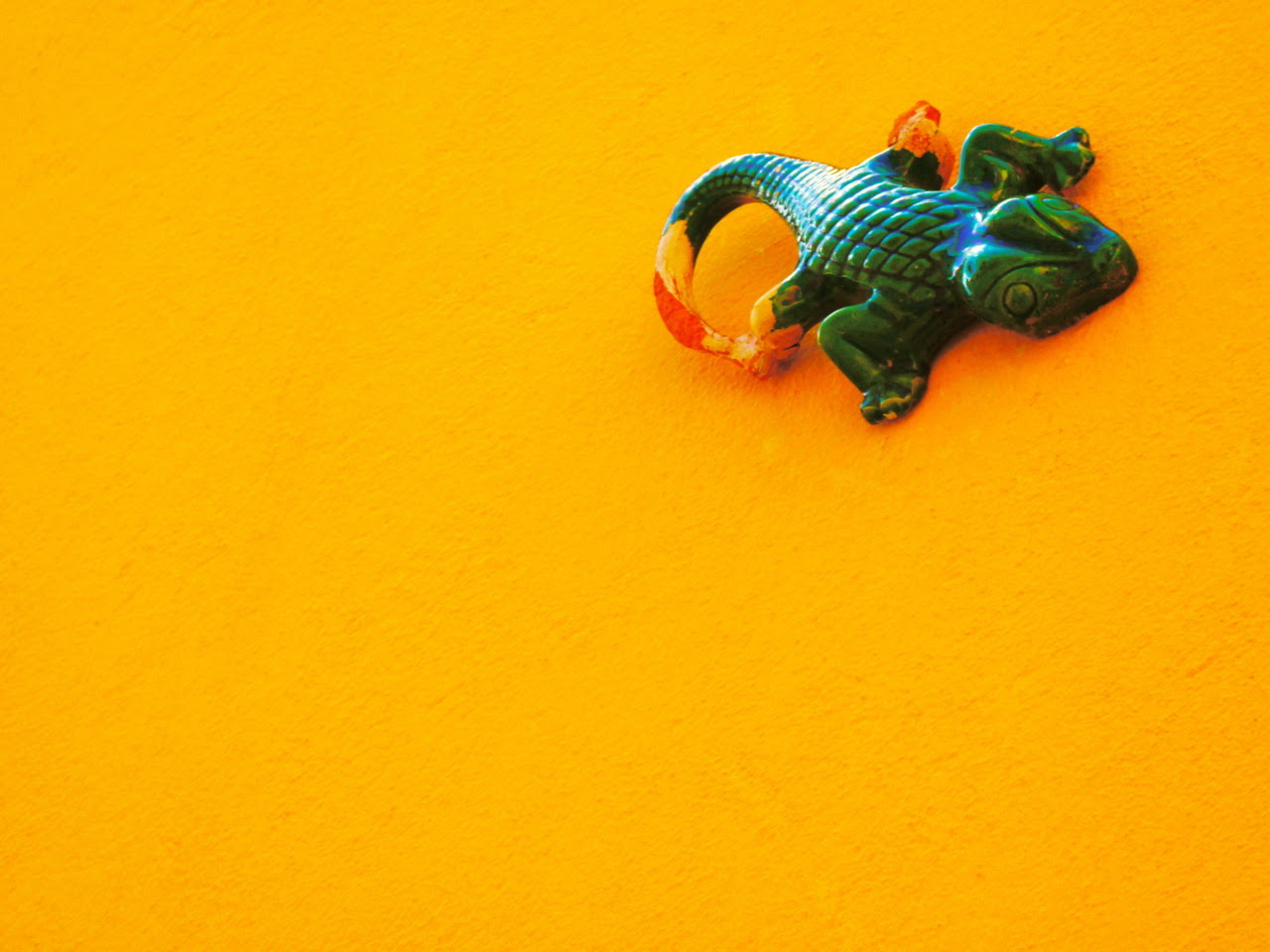 http://24.media.tumblr.com/tumblr_lmn40zfDp61qlqycdo1_1280.jpg
