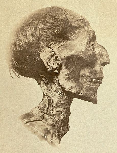 File:Ramses II - The mummy.jpg
