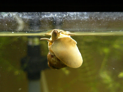 08年09月の記事 引きこもりの日常