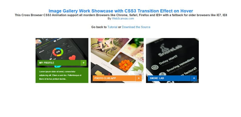 Image-Gallery-Work-Showcase-with-CSS3-Transition-Effect-on-Hover