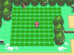 ポケットモンスタープラチナ攻略情報局
