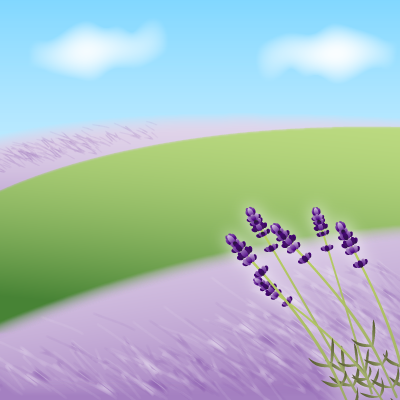 ラベンダー畑の無料イラスト 素材屋花子