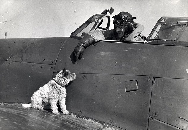 Ultimate maverick: Mike Kolendorski in the cockpit of his Hawker Hurricane early in 1941. He was shot down on May 17, 1941, the first Eagle Squadron pilot to be killed on active service with the RAF. He had thrown his empty beer bottles out of his cockpit at German targets below
