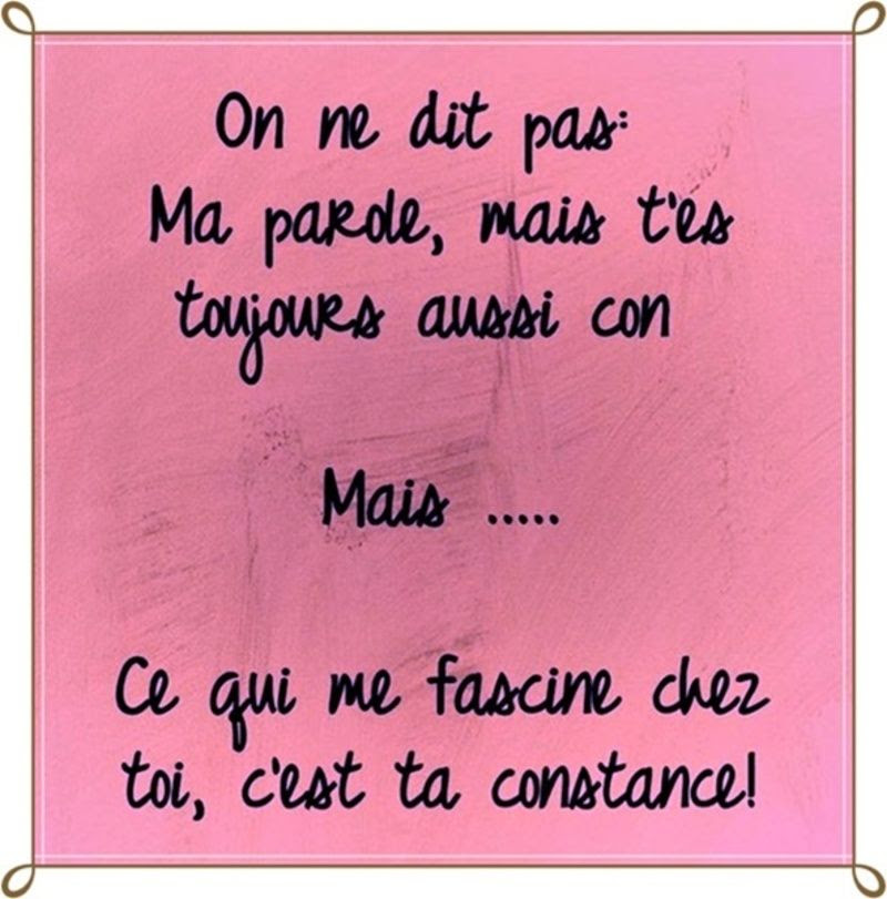 Citation Humoristique