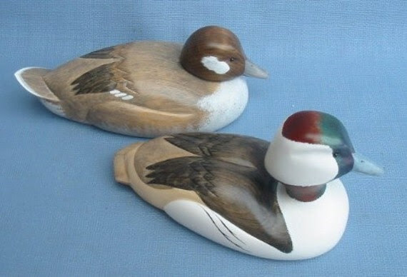 Bufflehead hen