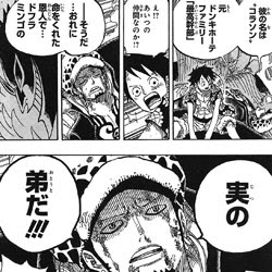 ワンピース 単行本 第75巻 感想と考察 ワンピース考察ブログ
