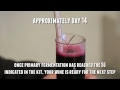 Home winemaking: step by step | cooking foods tips