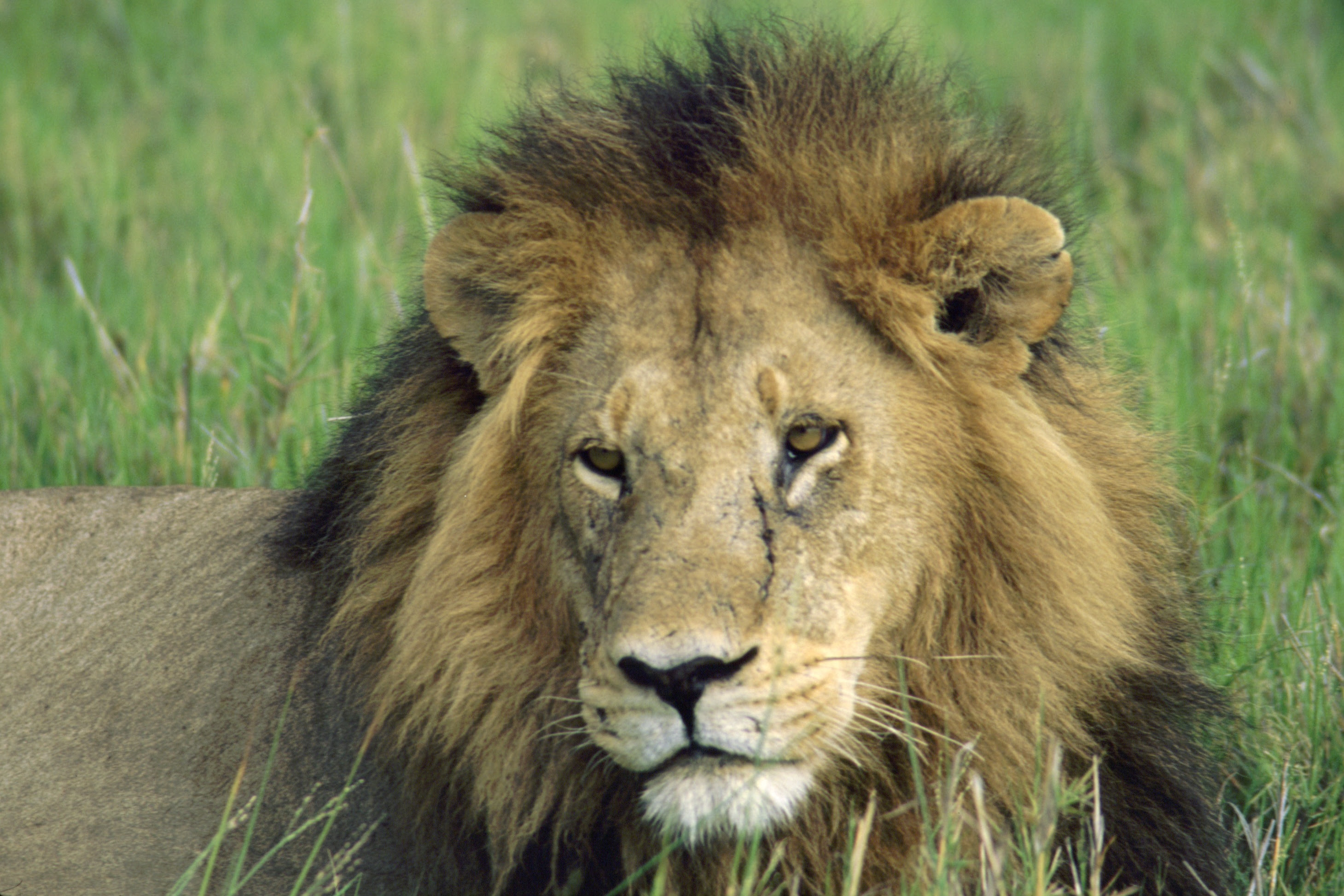 South African Tourism "Ubuntu Award"-Winner Africa ...