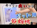 選択した画像 犬 乾燥 835826-犬 乾燥肌 保湿スプレー