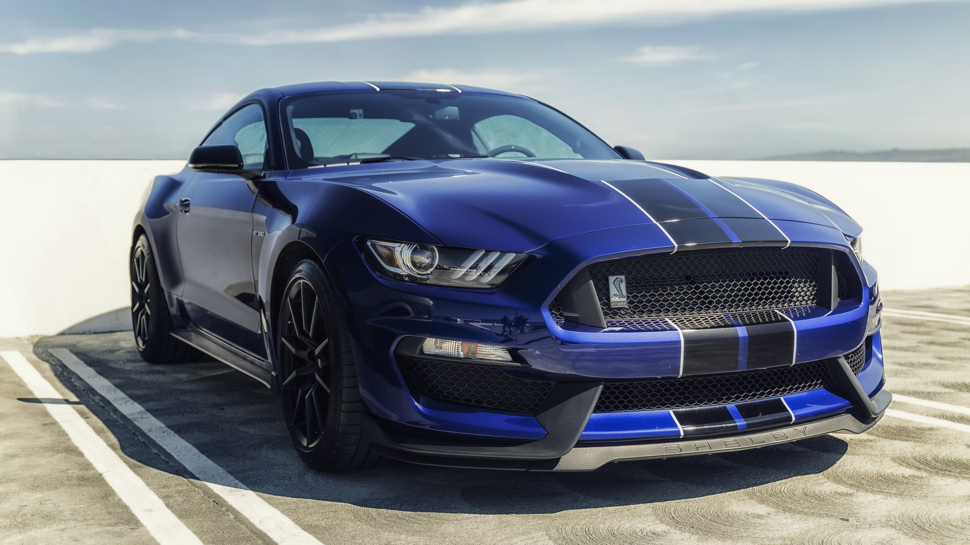 Mustang 4K Wallpaper (44+ images)