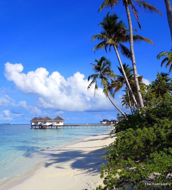 loama maldives