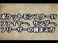 [最も欲しかった] ポケモン x ファイヤー の 捕まえ 方 181181