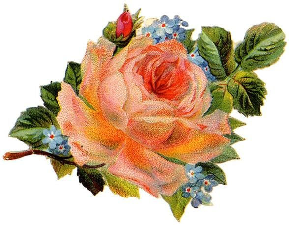 Vintage Floral Label Art Print Card