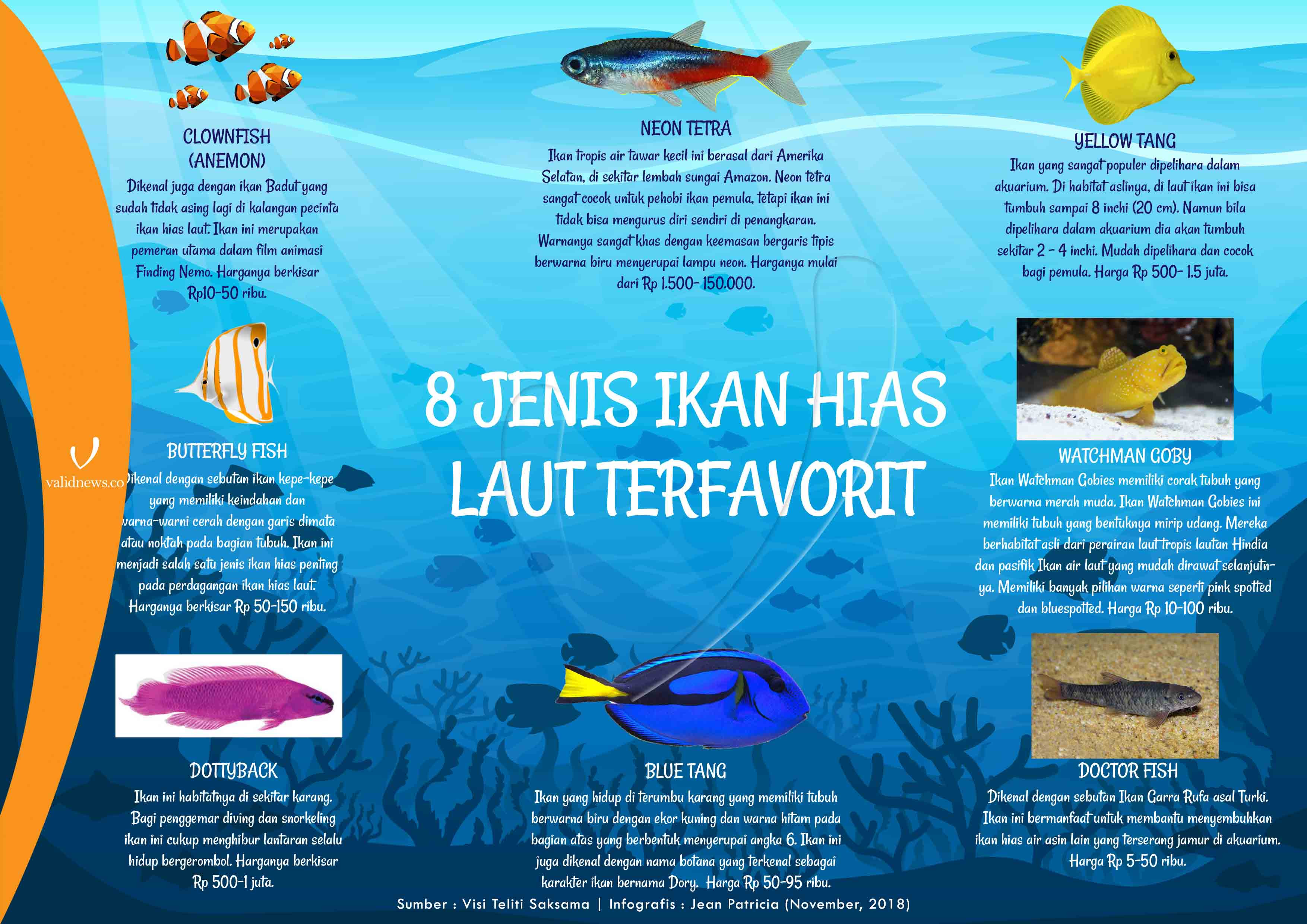 6300 Koleksi Penjualan Ikan Hias Air Laut HD Terbaru