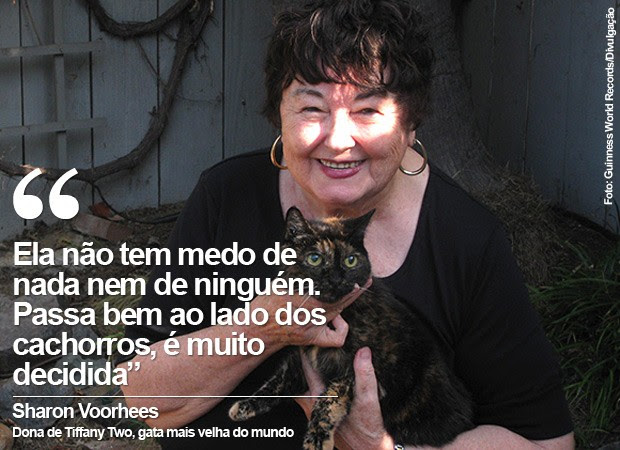 Gata Tiffany Two foi reconhecida como o gato mais velho vivo pelo Guinness (Foto: Guinness World Records/Divulgação)