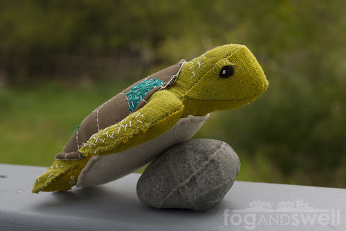 green sea turtle