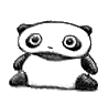 panda Pictures, Images and Photos