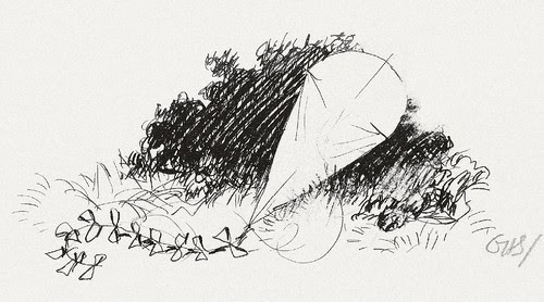 Wind on the Hill